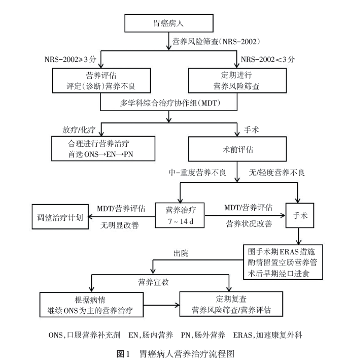 最新NRS2002评分表及其应用概览