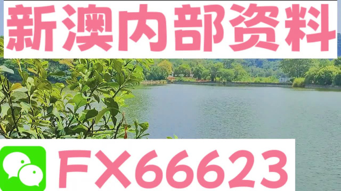 新澳精准资料免费大全,经典解释落实_XP40.196