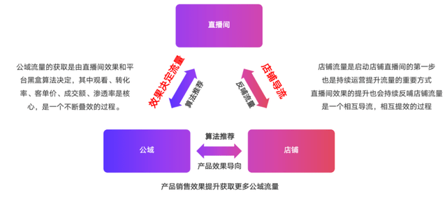 2024新澳门今晚开特马直播,可靠操作方案_4K版46.256