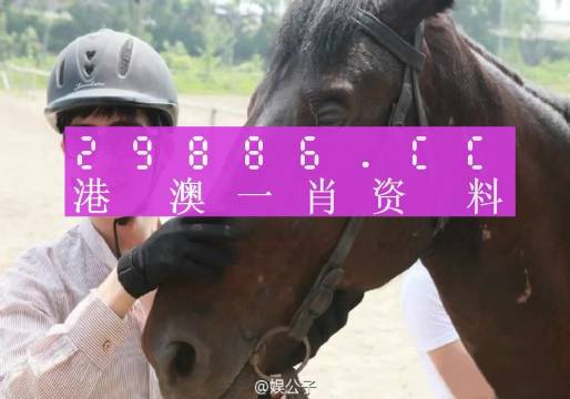 澳门一肖一码一一特一中,收益成语分析定义_尊享款96.884