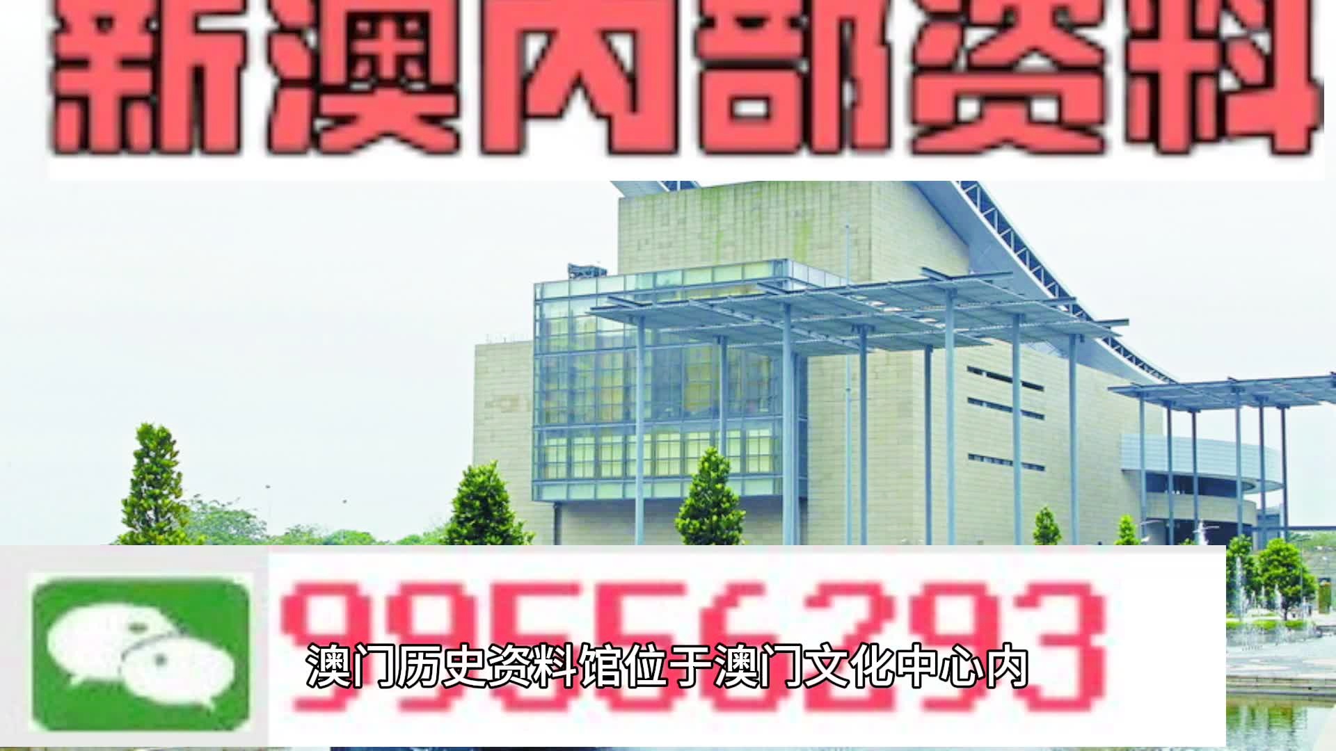 2024年新澳门天天开彩免费资料,高度协调策略执行_Z12.58