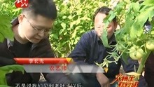 农博士最新行动视频，科技助力乡村振兴之梦