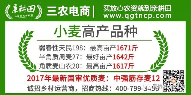 南星最新收购价格动态解析