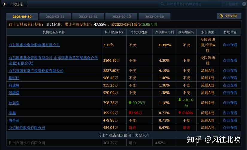 鲁银股票最新动态，市场走势分析与前景展望